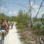 bicycle tour rentals